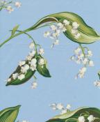Lilies Of The Valley